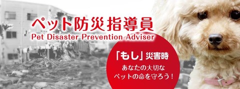 13076556_205425939844083_1578078125752939201_n