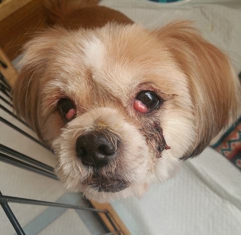 18-03-18-12-28-17-234_deco