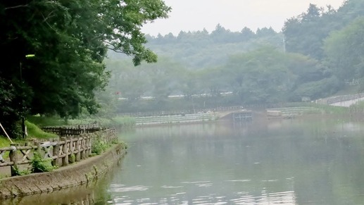 IMG_5691 (1024x576)
