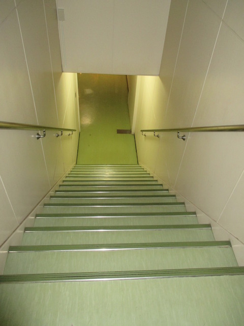 中２階階段（下り）