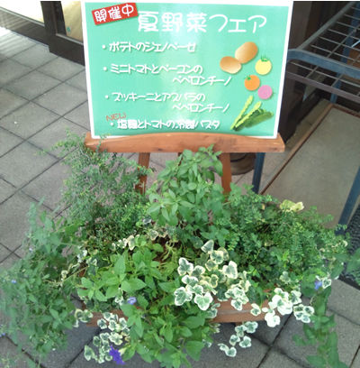 夏野菜フェア