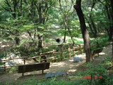 学生会館への道5