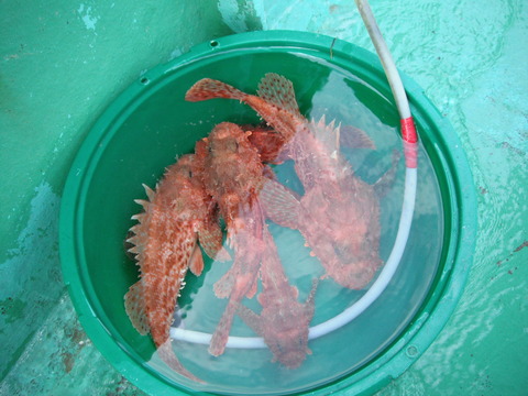 20120205-09