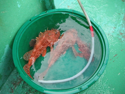 20120205-07