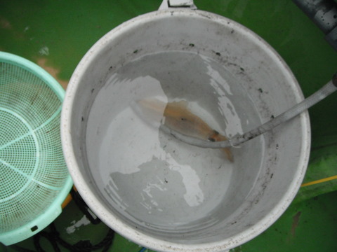 20120318-05
