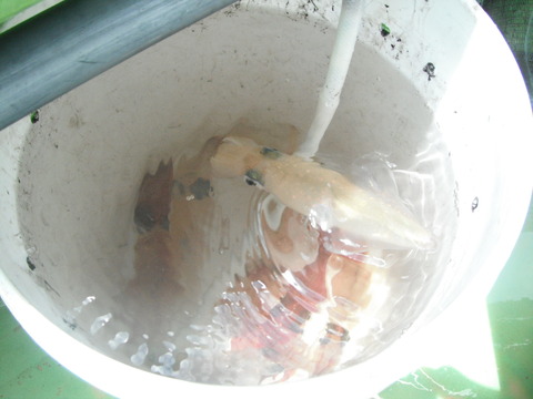 2012070805
