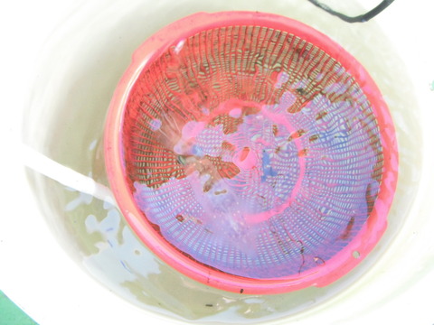 20130120-04