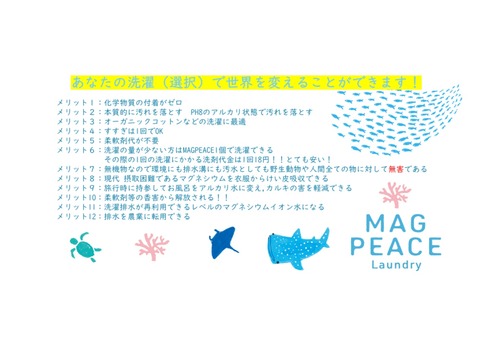マグちゃん絵