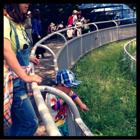 photo:05