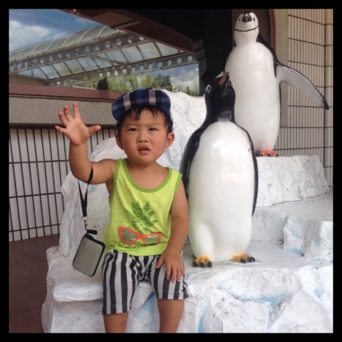 photo:02