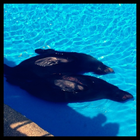 photo:03