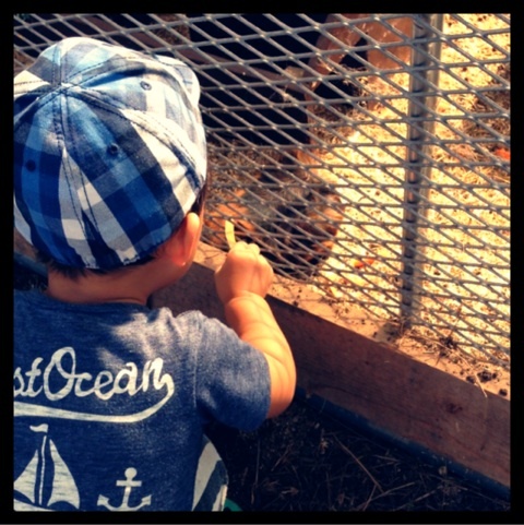 photo:05