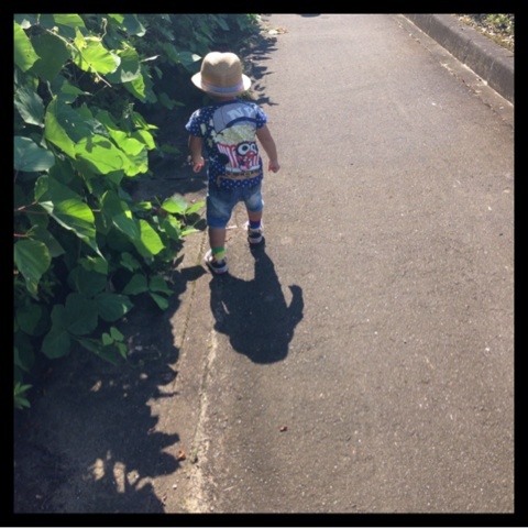 photo:01