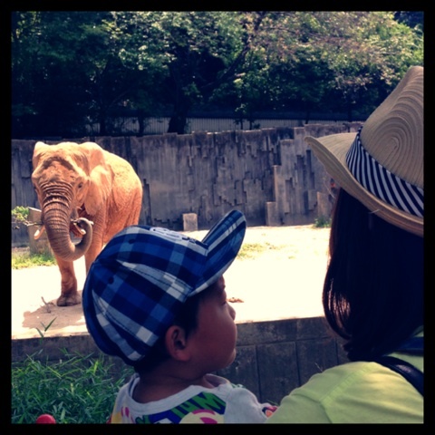 photo:01