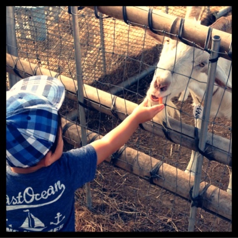 photo:06
