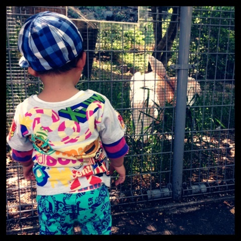 photo:02