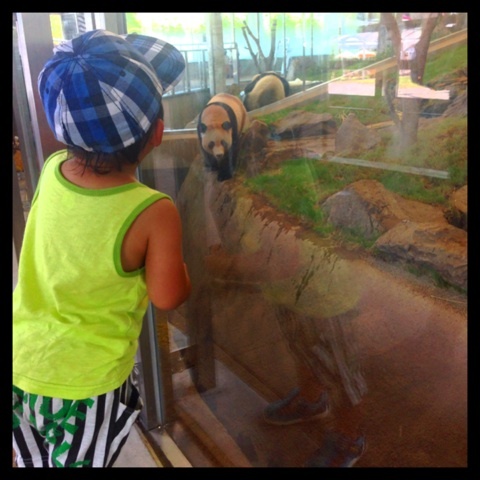 photo:01