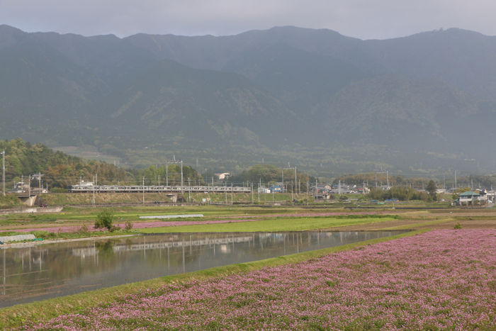滋賀・大津市・和邇北浜地区20160425-2
