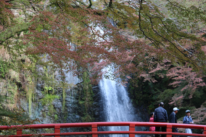大阪・箕面市・箕面の滝20131120-2-4