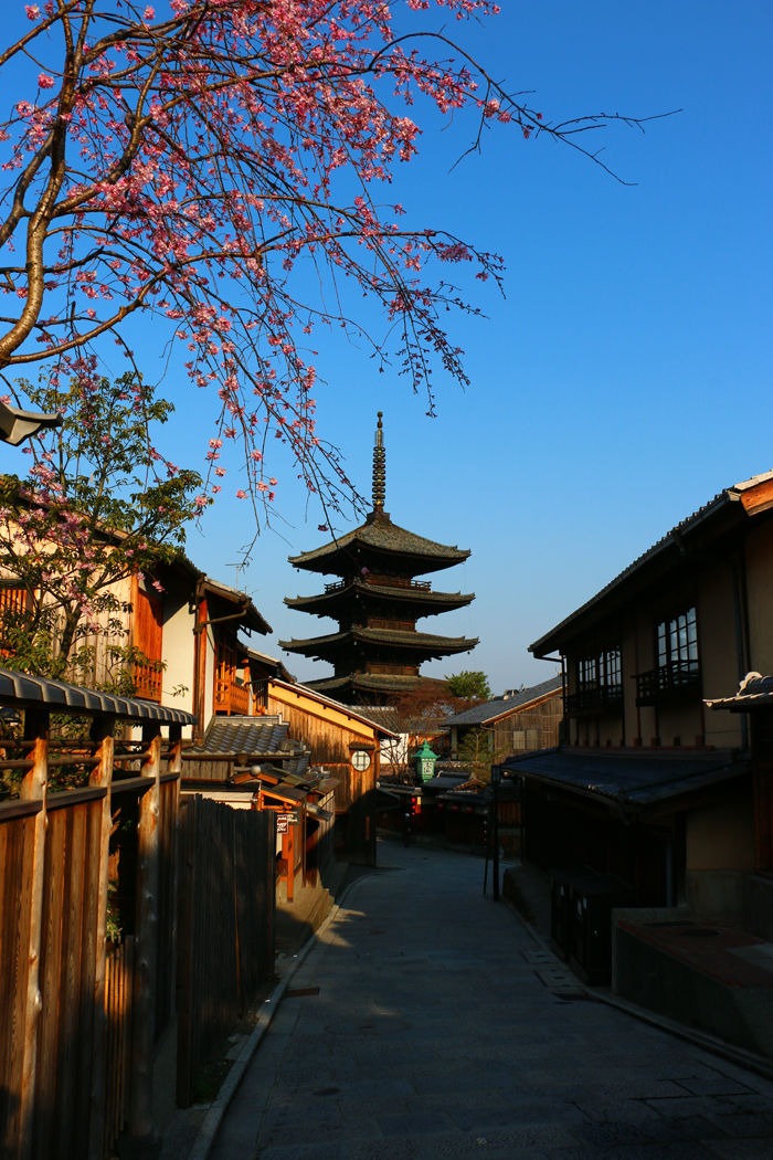 京都・東山区・八坂の塔20160329-1
