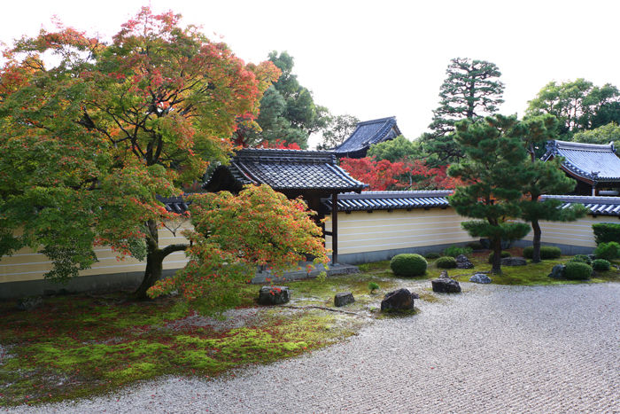 京都・北区・等持院20151121-2