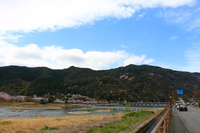 京都・右京区・渡月橋界隈20160402-1
