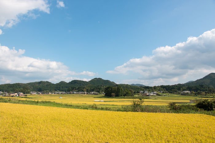 奈良・奈良市・都祁白石町地区20160909-1