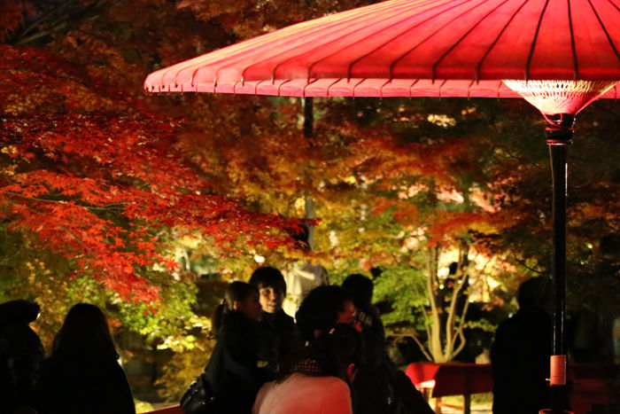 京都・左京区・禅林寺【永観堂】20131123-8
