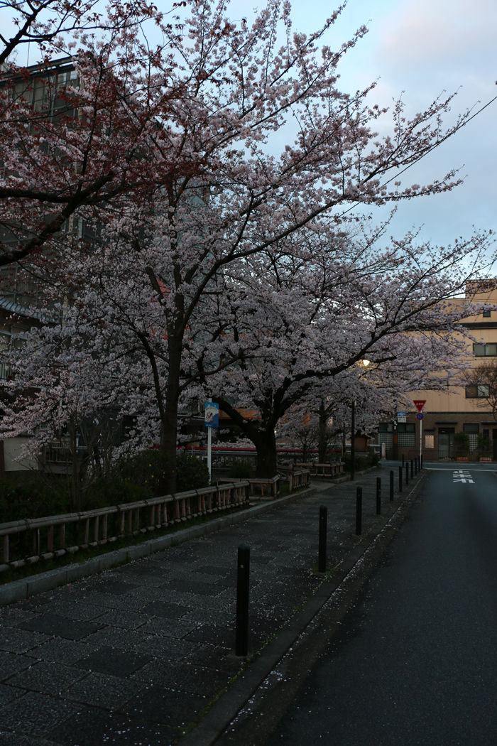 京都・東山区・三吉町地区20160402-1