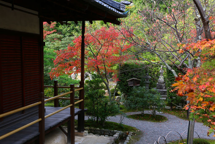 京都・北区・等持院20151121-4