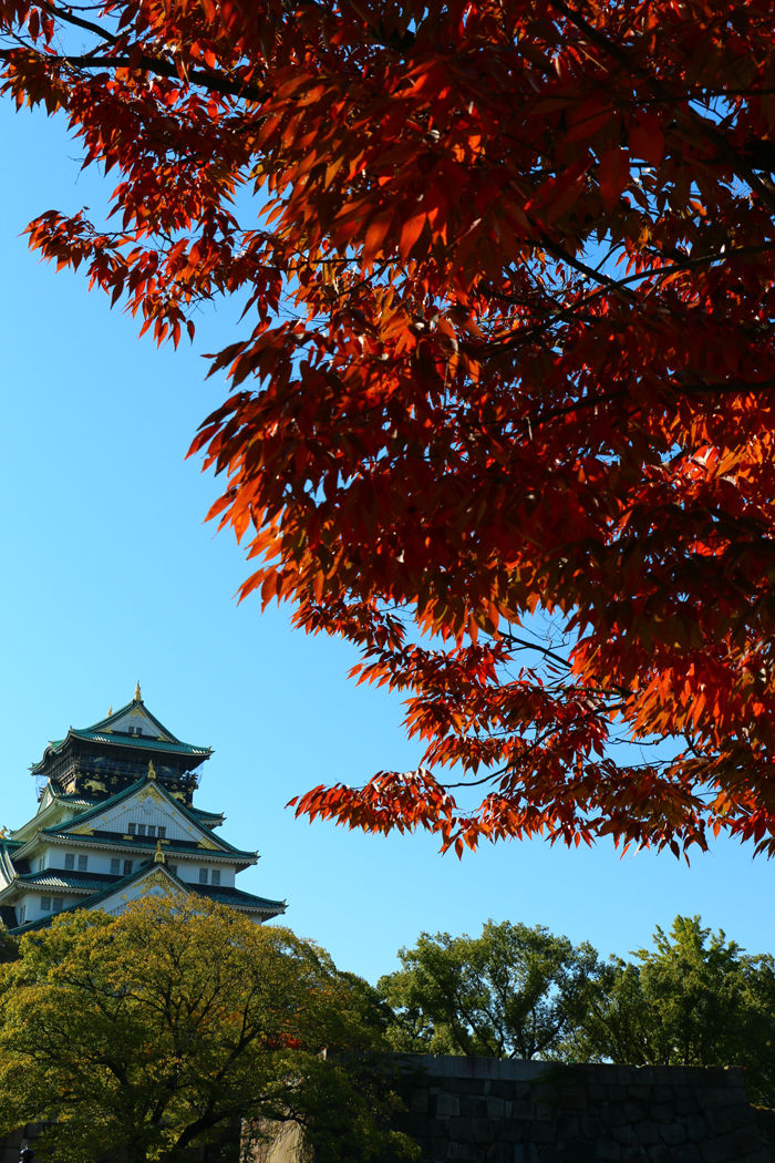 大阪・中央区・大阪城界隈20151104-1
