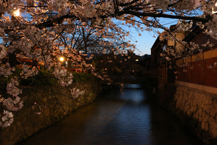 京都・東山区・祇園白川20160402-2