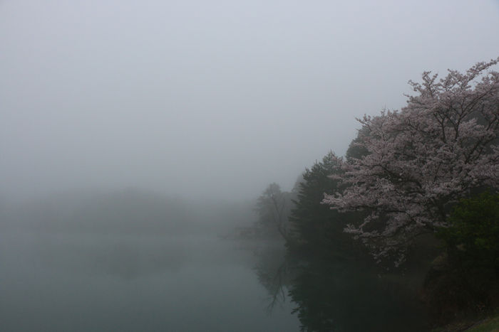 京都・福知山市・三段池公園20160406-2