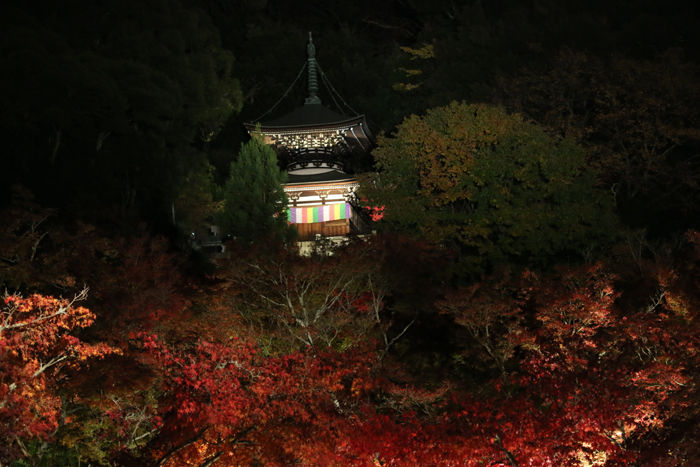 京都・左京区・禅林寺【永観堂】20131123-9