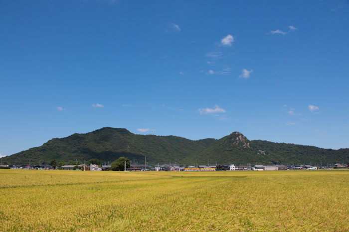 滋賀・東近江市・市辺町地区20160823-1