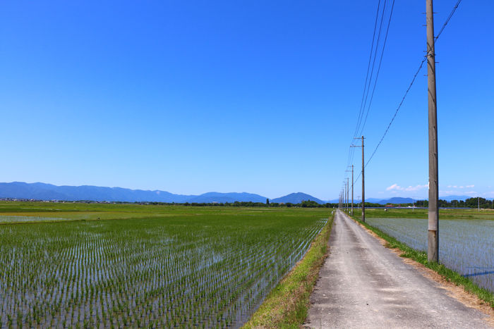 滋賀・高島市・新旭町太田地区20160603-1