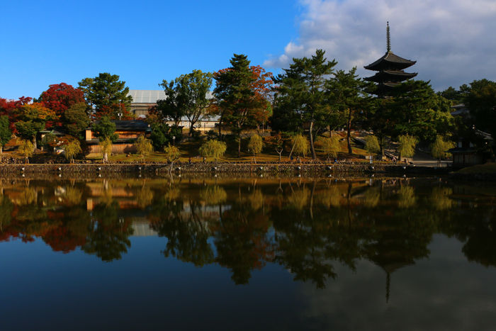 奈良・奈良市・奈良公園20141104-12
