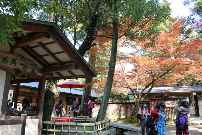 奈良・奈良市・奈良公園20131116-4-1