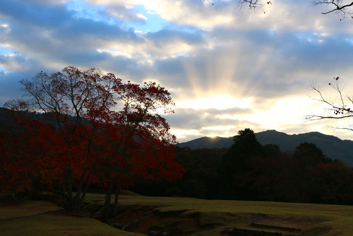 奈良・奈良市・奈良公園20141104-4