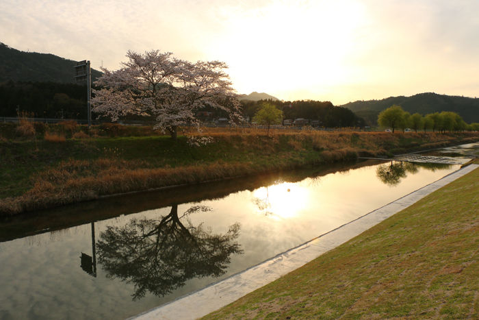 京都・南丹市・若森橋20160406-1