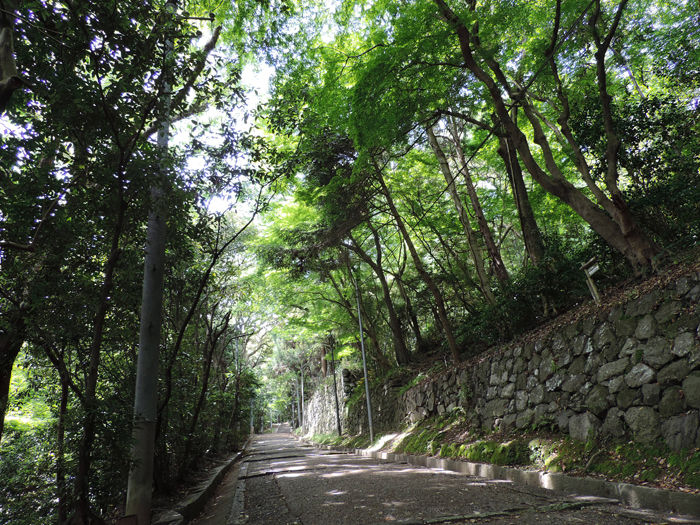 京都石清水八幡宮1-6