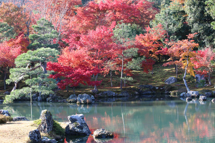 京都・右京区・臨済宗大本山天龍寺20131123-2-2