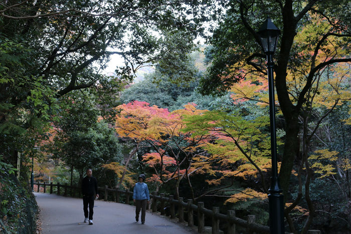 大阪・箕面市・箕面の滝20131120-1-3