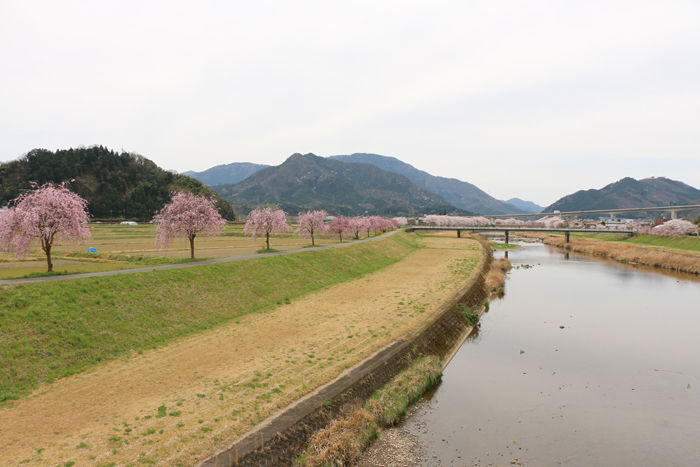兵庫・朝来市・和田山町枚田地区20160406-5