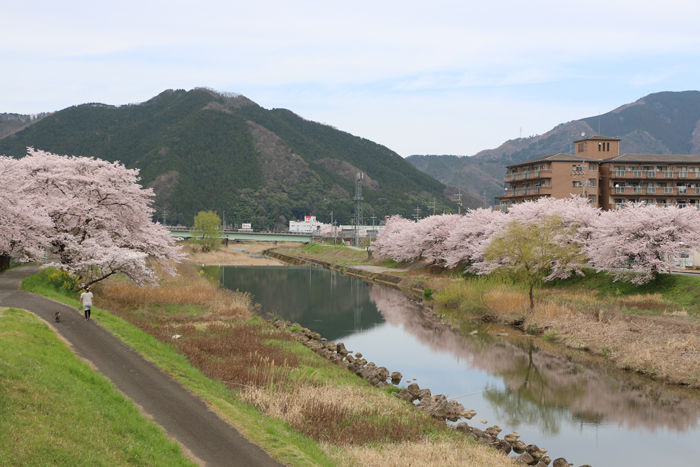 兵庫・朝来市・和田山町枚田岡地区20160406-1