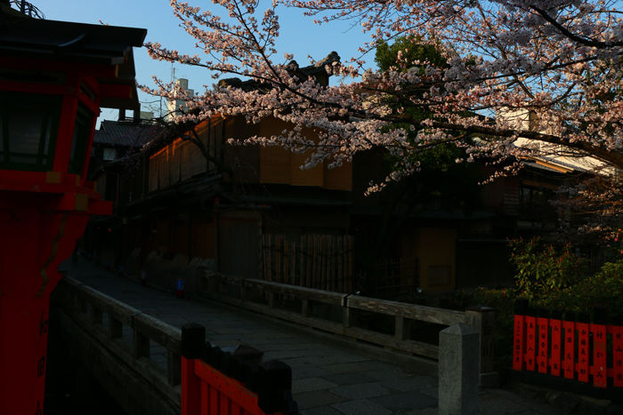京都・東山区・祇園白川20150331-3