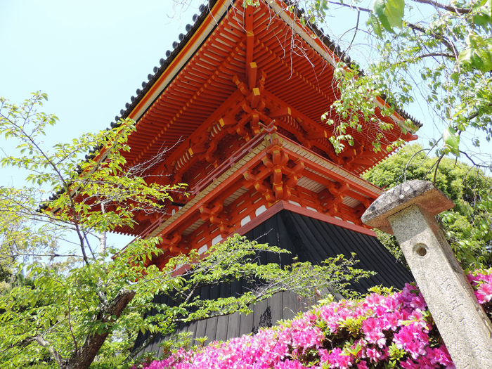 京都世界遺産総本山仁和寺5