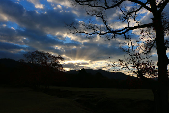 奈良・奈良市・奈良公園20141104-5