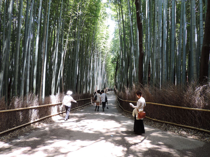 京都嵐山竹林の道8