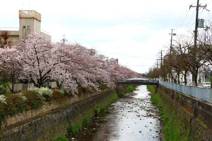 京都・右京区・天神川四条交差点20160402-1